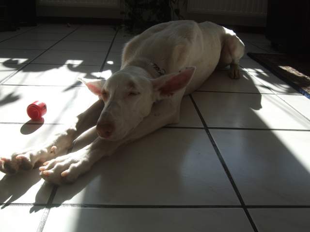 DSCF4336.JPG
