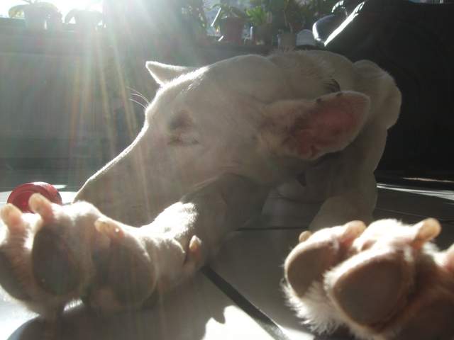 DSCF4341.JPG