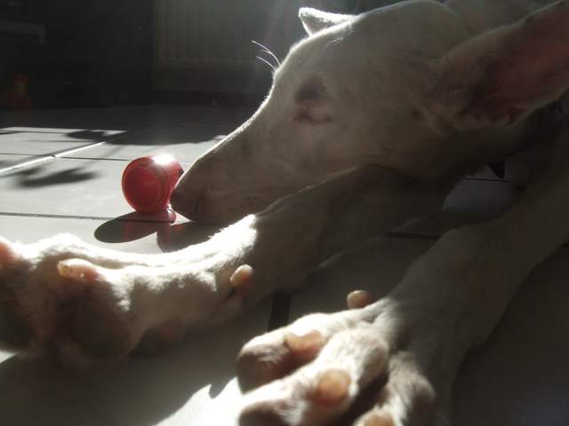 DSCF4343.JPG