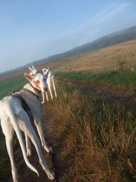 DSCF4352.JPG