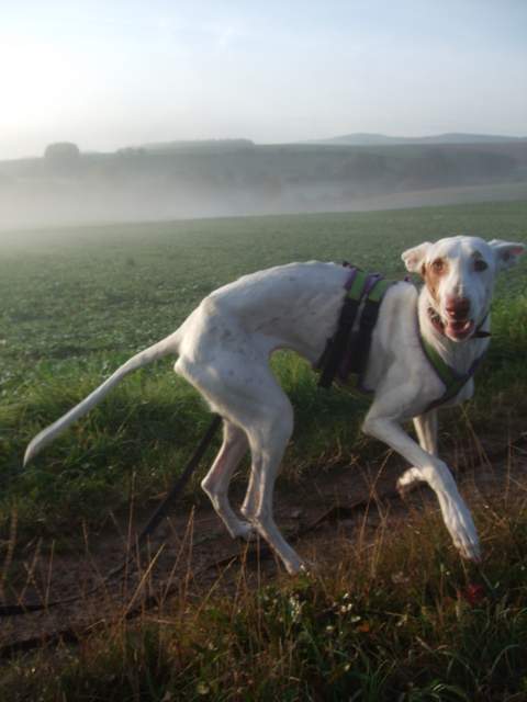 DSCF4353.JPG