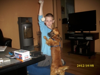 Sammy 003.JPG