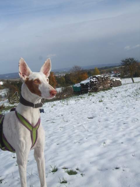 DSCF4862.JPG