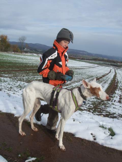 DSCF4955.JPG