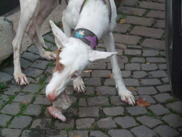 DSCF4984.JPG