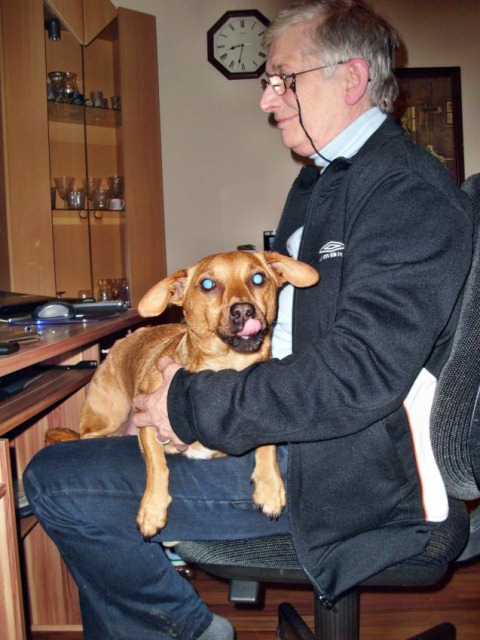 Felix 05.12.2012klein.jpg