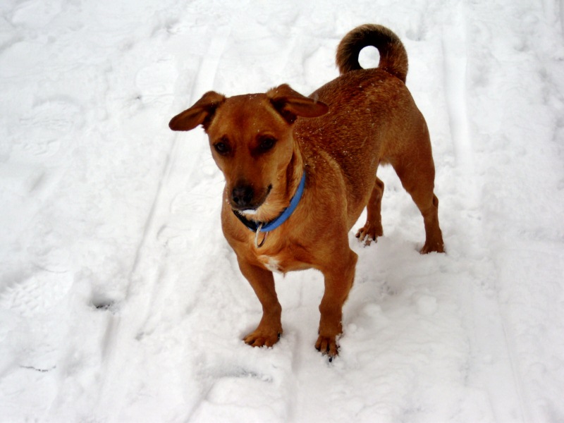 Felix erster Schnee klein.jpg