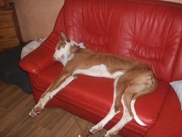 DSCF9179.JPG