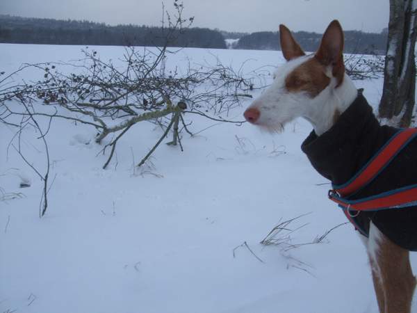 DSCF9188.JPG
