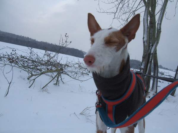 DSCF9190.JPG