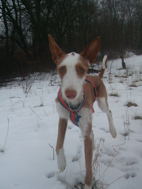 DSCF9361.JPG