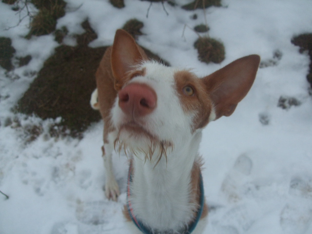 DSCF9458.JPG