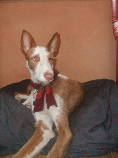 DSCF3095.JPG