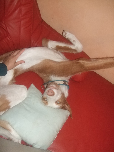 DSCF5064.JPG
