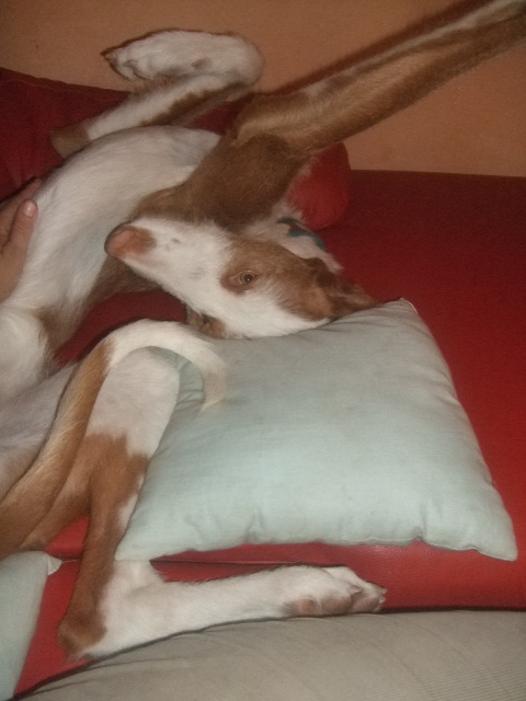 DSCF5066.JPG
