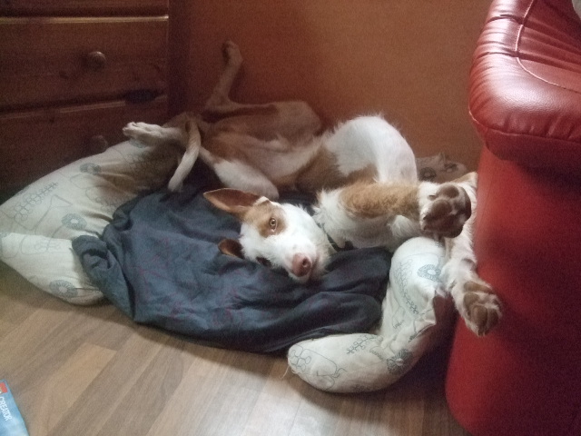 DSCF7025.JPG