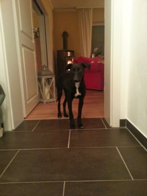 Bild 4.jpg