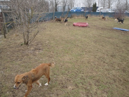 DSC05335.JPG