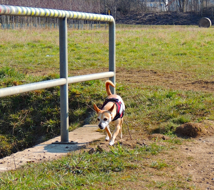 DSCN0506.JPG