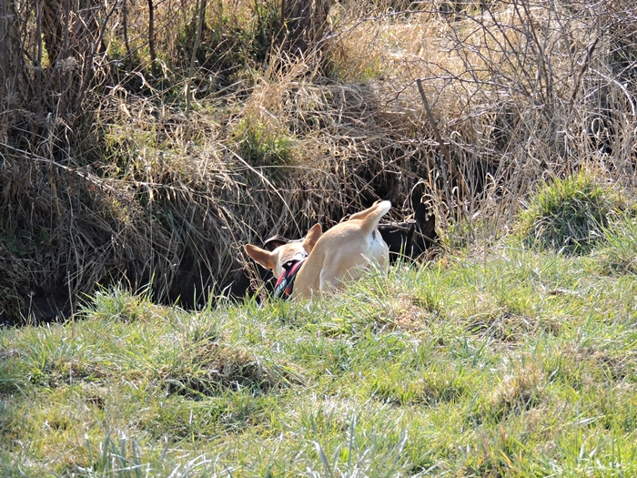 DSCN0508.JPG