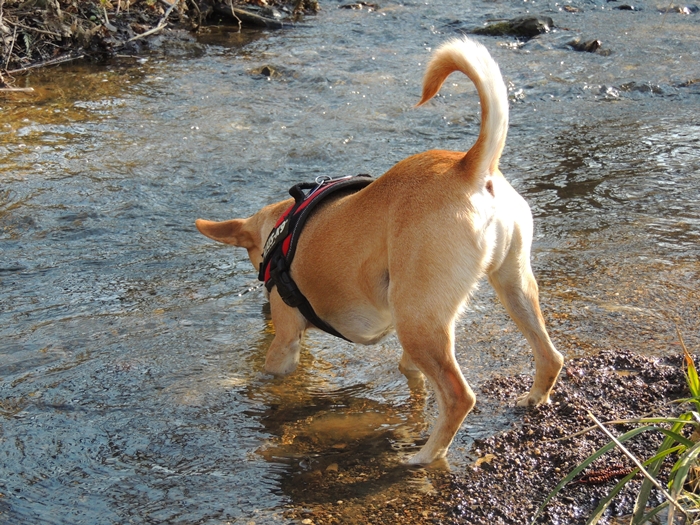 DSCN0522.JPG