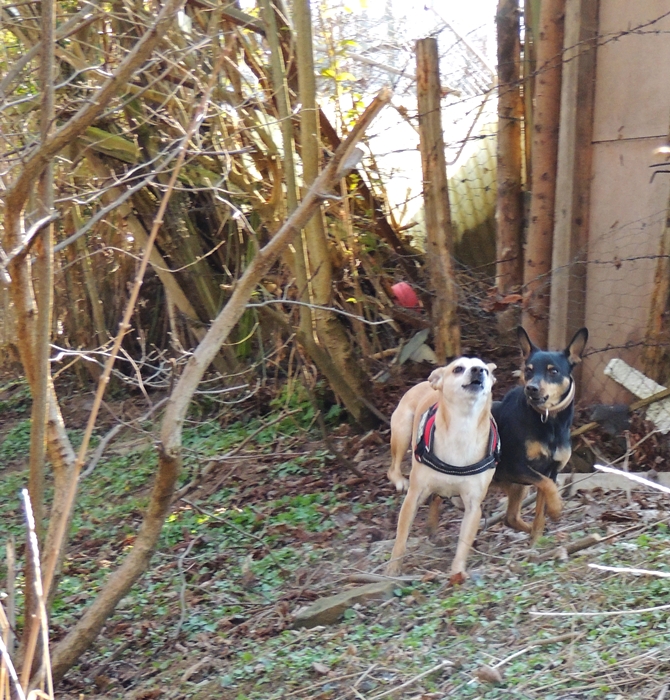DSCN0527.JPG