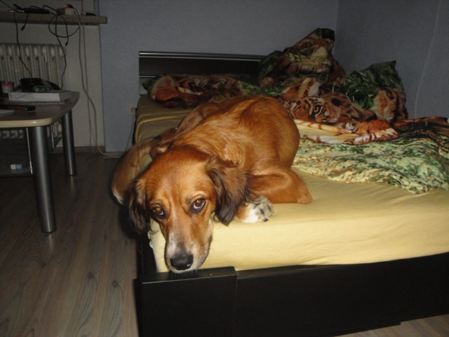 DSC05808.JPG