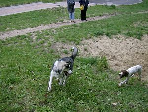 Harry und Hope IV.jpg