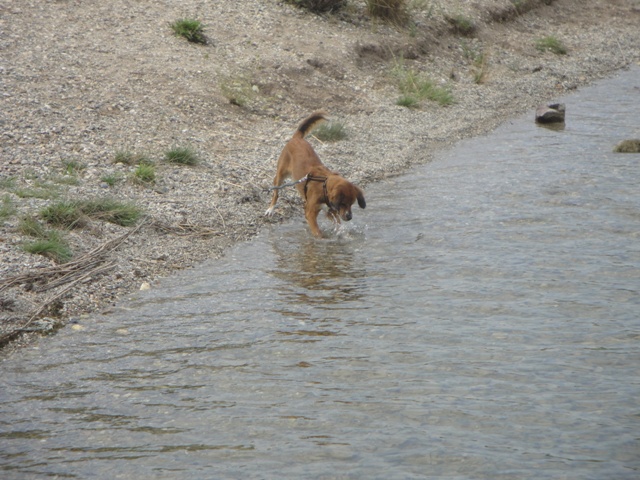 DSC05830.JPG