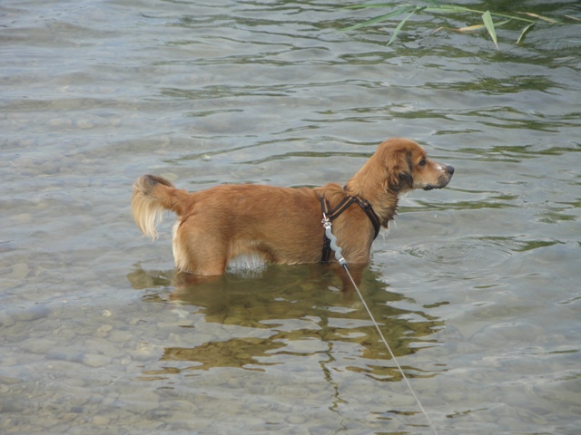 DSC05838.JPG
