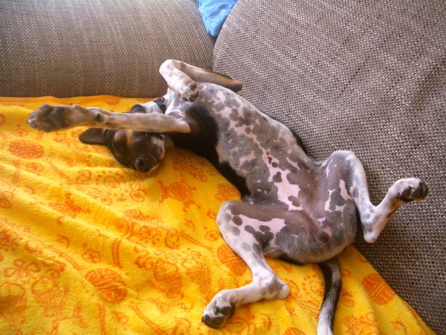 Bild 3.jpg