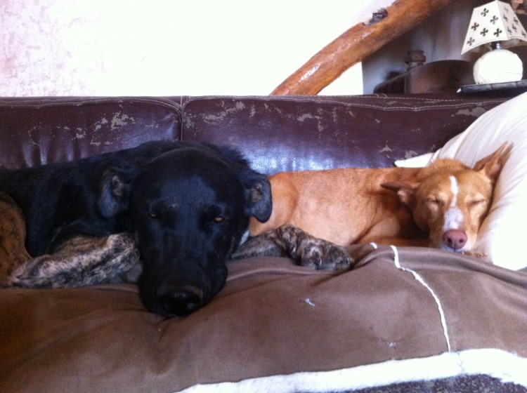 Kara und Lemmy.JPG