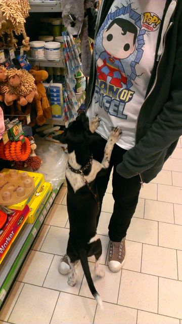 Bild 1.jpg
