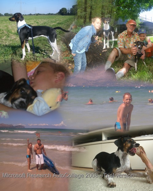 Urlaub auf Mallorca 2013.jpg