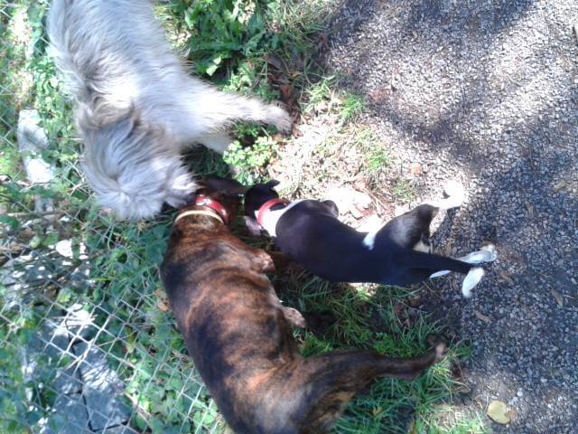 2013-10-16 12.09.15.jpg