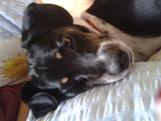 2013-10-23 17.14.35.jpg