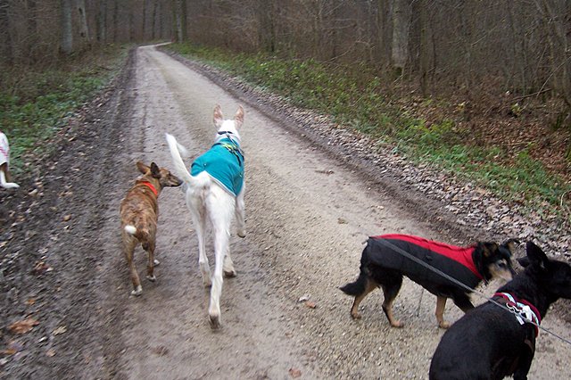 Spaziergang (5).jpg