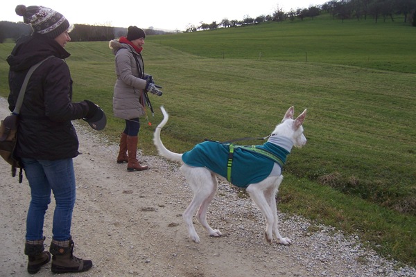 Spaziergang.jpg