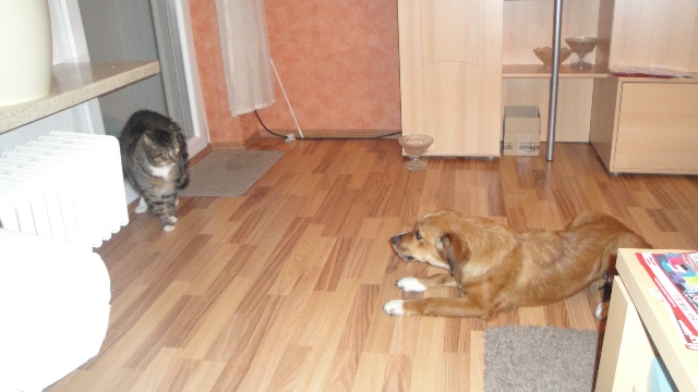 DSC05103.JPG