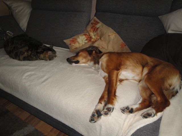 DSC05407.JPG