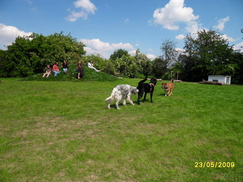 SDC19713-1.JPG