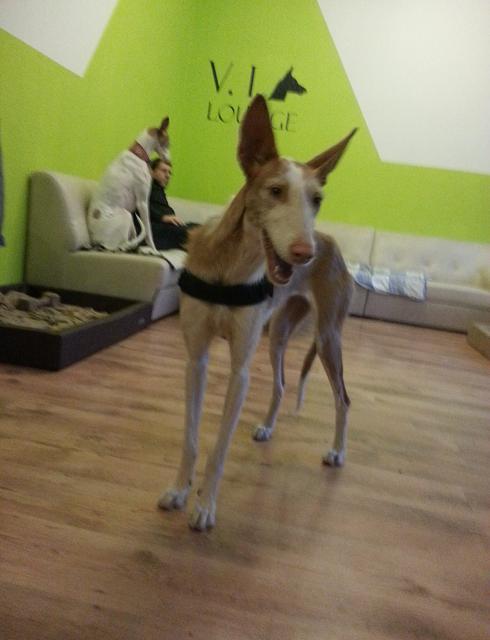 20131222_155847.jpg