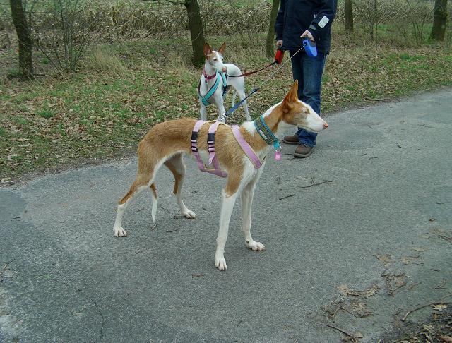 Kopie von IMAG0003.JPG