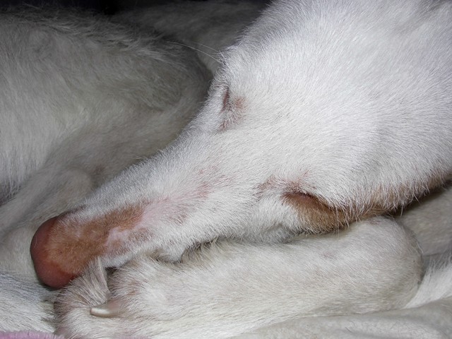 SchlafBaby1.JPG