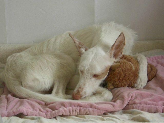 SchlafBaby2.JPG