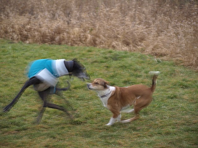 P1198690.JPG
