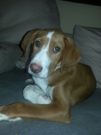 20140126_211716_resized.jpg