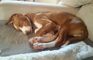 20140127_141236_resized.jpg