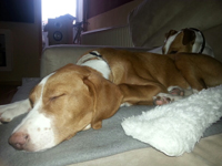 20140127_145935_resized.jpg