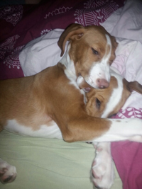 20140131_073209_resized.jpg